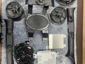 Retrofit Nâng Cấp Hệ Thống Loa Chính Hãng B&O Cho Ford Next-Gen | Raptor, Everest, Ranger