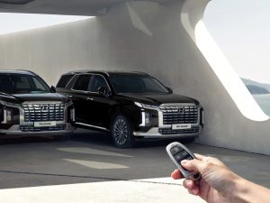 Nâng Cấp Tính Năng Tiến – Lùi Chuồng Bằng Chìa Khoá Cho Hyundai Palisade Bị Cắt Option Tại Việt Nam