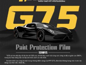 Dán Phim Bảo Vệ Sơn PPF TeckWrap G75 Tại Vũng Tàu - Hồ Chí Minh