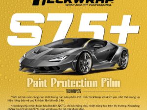 Dán Phim Bảo Vệ Sơn PPF TeckWrap S75+ Ellite Tại Vũng Tàu - Hồ Chí Minh